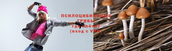 дмт Яранск