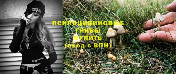 прущая мука Медногорск