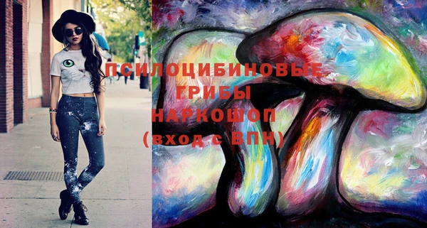 гашик Михайловка