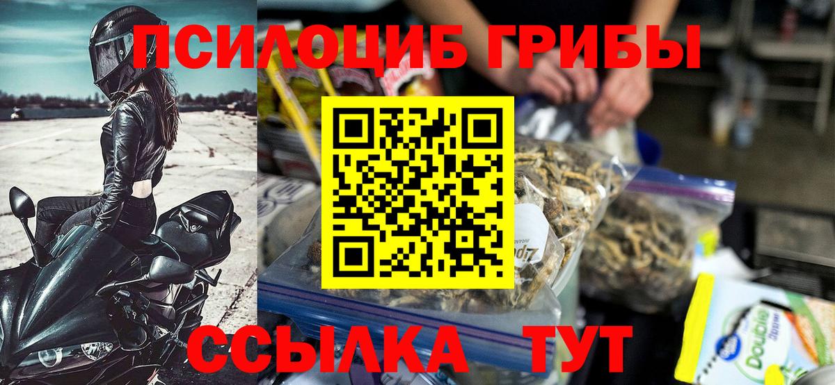ГАШИШ Сосновый Бор