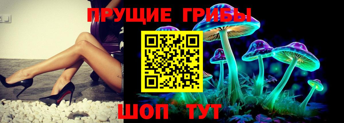 Псилоцибиновые грибы мицелий Сосновый Бор