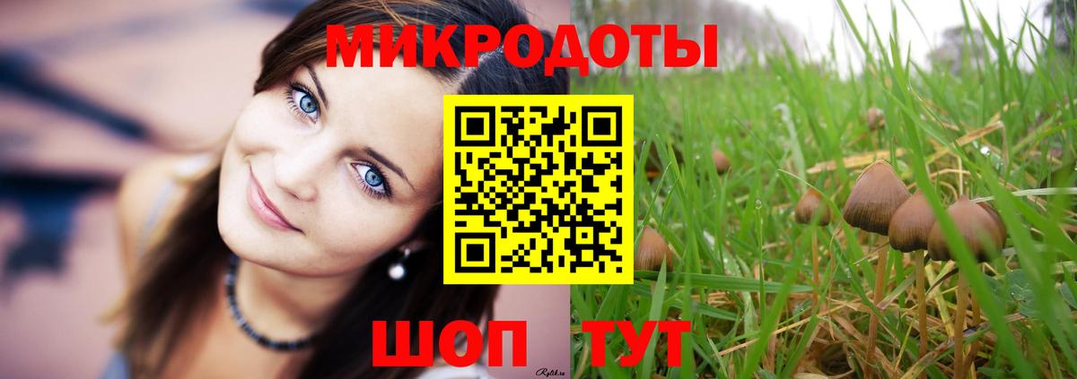 Сосновый Бор  Галлюциногенные грибы ЛСД  Вход с VPN 
